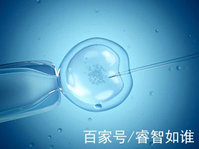 代生捐卵生子